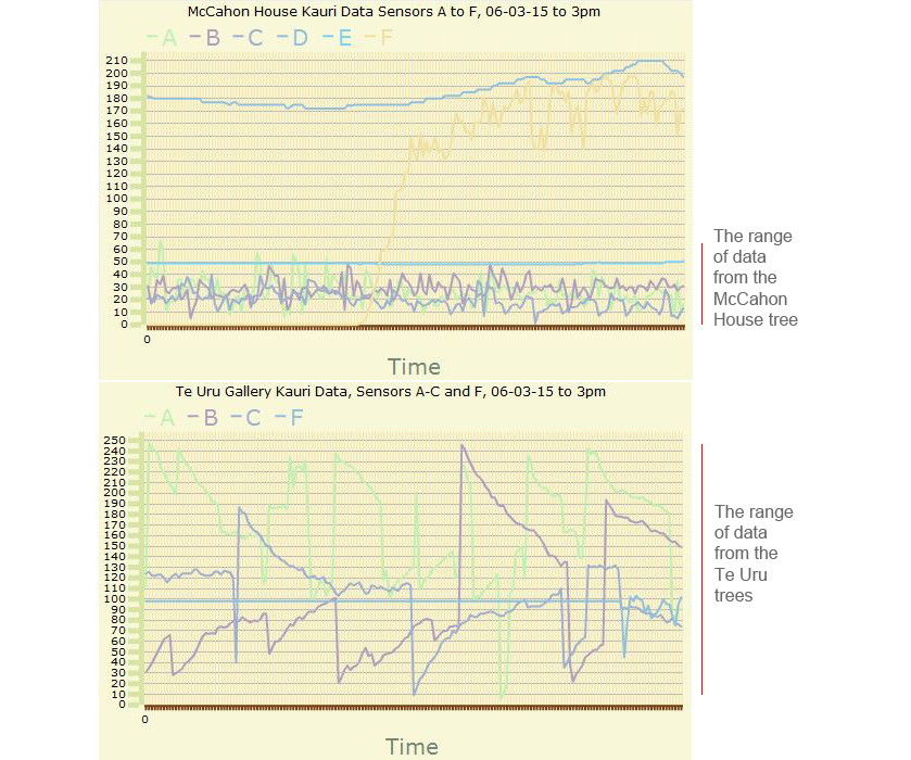 Kauri data